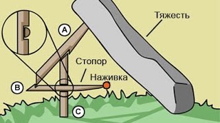 Ловушка для крыс, мышей, птиц и других мелких животных своими руками легко