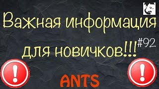 Основы для начинающего мирмикипера // муравьи // с чего начать? // #92