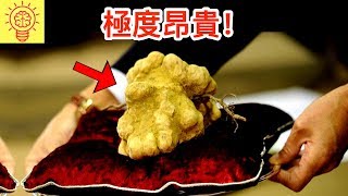 全球最貴！貴到嚇死你的土豪食物！