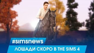 #SIMSNEWS | ЛОШАДИ СКОРО В THE SIMS 4