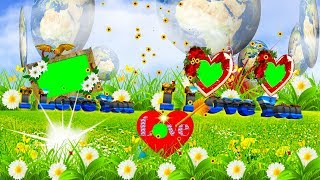 I love you Wedding photo frame green screen 2019 HD video project #86