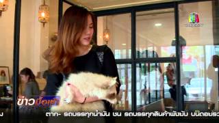 “คาเฟ่หมาจิ้งจอก” ธุรกิจใหม่มาแรงในไทย: Matichon TV