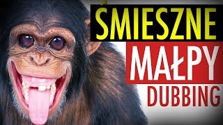ŚMIESZNE MAŁPY #1 ? DUBBING: MATT OLECH