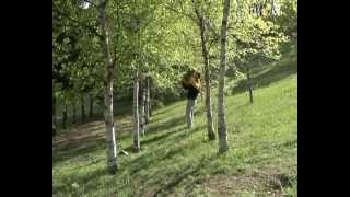 Росы поселение Родовых Поместий Путину смотреть !!!