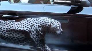 Аэрография Гепард (cheetah airbrush)