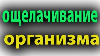 Копеечное средство от вирусов/бактерий/паразитов.Ощелачивание организма#малиновский