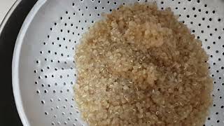 ep120-คีนัวทำกินเองง่ายๆ-Quinoa seeds
