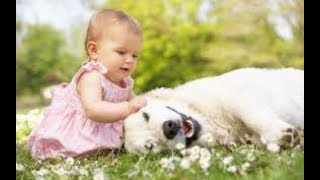 【犬と赤ちゃん】可愛い仲良し動画で癒されてください♬#1