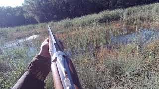 Отличная охота на утку с лайкой 2018. Полювання на качку з ИЖ-27ЕМ-1с. Great duck hunt 2018