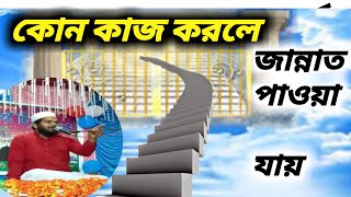 কোন কাজ করলে জান্নাত পাওয়া যাবে, বক্তা মফিজুল ইসলাম সাহেব, 9564361048