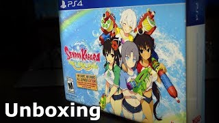 No Shirt, No Shoes, All Service | Senran Kagura: Peach Beach Splash