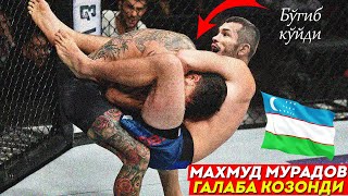 ????????Mahmud Murodov RAQIBINI BO'G'IB QO'YDI / Махмуд Мурадов vs. Питер Кэпкович (Архив жанг)