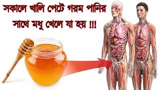টানা ৭ দিন এভাবে হালকা গরম পানিতে মধু মিশিয়ে পান করলে আপনার শরীরে যে পরিবর্তন ঘটবে জানলে অবাক হবেন