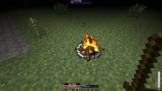 2 Гайд (инструкция) по Terra Firma Craft (TFC-survival)