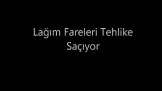 Lağım Faresi Klozetten Çıkar Mı ? Çocuklara İzletmeyin !