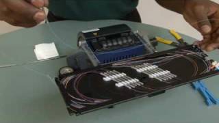Splicing 250 µm Fiber in a Splice Tray for Rack-Mount Housings (M67-048)