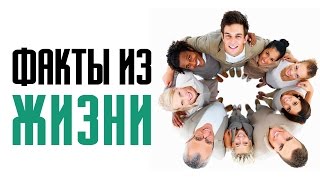 14 фактов из жизни и интересные особенности человека