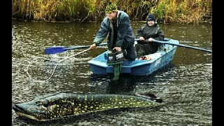ЩУКА МОНСТР САМАЯ БОЛЬШАЯ РЫБА 2017 В МИРЕ пойманная рыба Щука САМАЯ КРУПНАЯ Рыба ЩУКА 80 кг Рыбалка