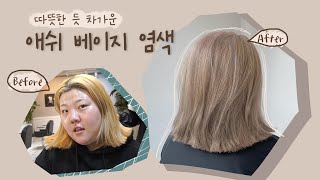 [도경쌤&홀리] 따듯한듯 차가운 '애쉬베이지'염색!!