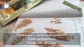 Китайские теплицы. Проблемы с качеством семян??? Разбираемся в ситуации.