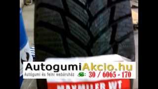 Gt-Radial Maxmiler Winter téli gumi
