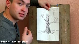 Как рисовать Осеннее Дерево и его Кору