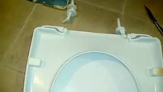 Как снять и поставить сиденье на унитаз.