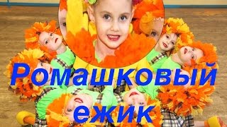 Ромашковый ежик. (Hedgehogs. Dance). "Экситон" Елены Барткайтис.