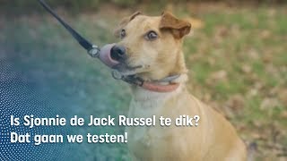 Dikke Sjonnie poept in de winkel, maar haalt ie zijn streefgewicht?