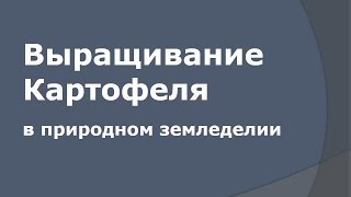 Природное земледелие - Картофель