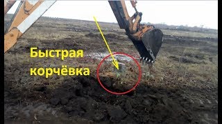 Корчёвка черешни экскаватором CASE 580 SUPER R / корчування пнів, stump