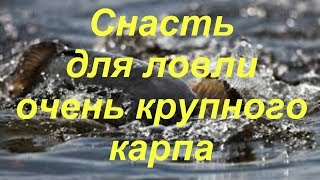 Обзор снасти. Ловля карпа, карася на бутылку.  Супер уловистая снасть. Ловля огромных карпов.