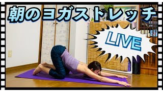 #1050LIVE?‍♀️朝のヨガストレッチ❤yoga?朝ヨガ?Mio-STYLEエクササイズ&ヨガストレッチ&フラダンス?
