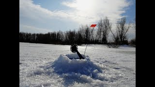 Рыбалка в марте 2019 ТОЛЬКО ПОСТАВИЛИ ЖЕРЛИЦЫ И СРАЗУ ТРОФЕЙ