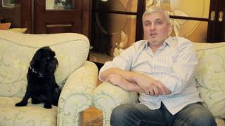 Бельгийский (брюссельский) гриффон. Умная собака. Чемпион - Гарри Шторм. Garry Storm. Видео 1 из 6