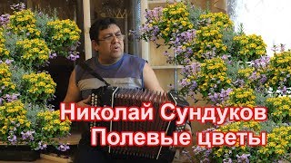 Николай Сундуков. Играю на гармошке - Соберу букет подарю Тебе. 18+