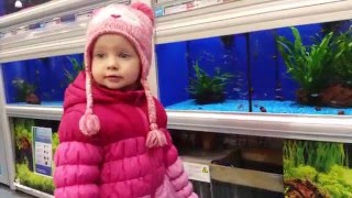 VLOG.Эльвира в зоомагазине смотрит животных.Pet shop