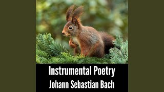 Brandenburg Concerto No- 5 in D Major, BWV 1050 I- Allegro