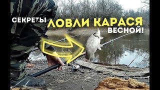 Лучшие советы ловли карася по весне!