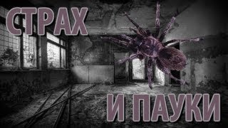 ДЖЕСУСА ИЗБИЛИ ПАУКИ - Afraid of Monsters #5