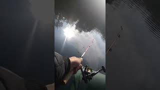 Утро начинается с рыбалки