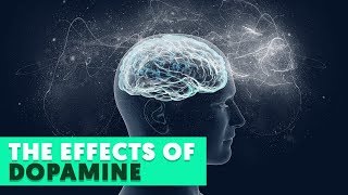 6 Effects Dopamine Has On The Body
