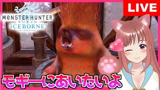 【 MHWアイスボーン】可愛いは強い！モギーに会いたい マルチ参加型　ライトボウガン&ランス女子★こはるん【女性実況】モンスターハンターワールドアイスボーン