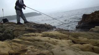 紀伊有田　の魚に挑戦！釣れるか？