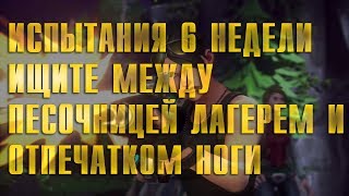 ИЩИТЕ МЕЖДУ ПЕСОЧНИЦЕЙ, ЛАГЕРЕМ И ОТПЕЧАТКОМ НОГИ