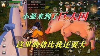 明日之后：小强来到了巨人国，这里的猪比我还要大，可以当坐骑了