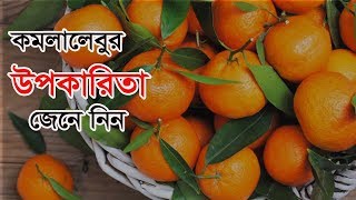 কমলালেবুর উপকারিতা জেনে নিন , নিয়মিত কমলা লেবু খাইলে কি হয় দেখুন ভিডিওতে