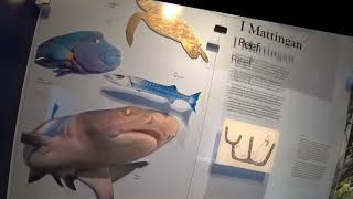 Guam Museum ?????