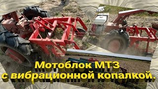 Мотоблок МТЗ с вибрационной копалкой.