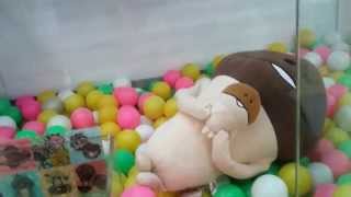 UFOキャッチャー～確率機能無視！なめこ なかよしジャンボBIGぬいぐるみ トリプルキャッチャー～
